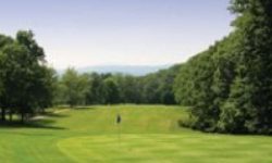 Terra Greens Terra Greens